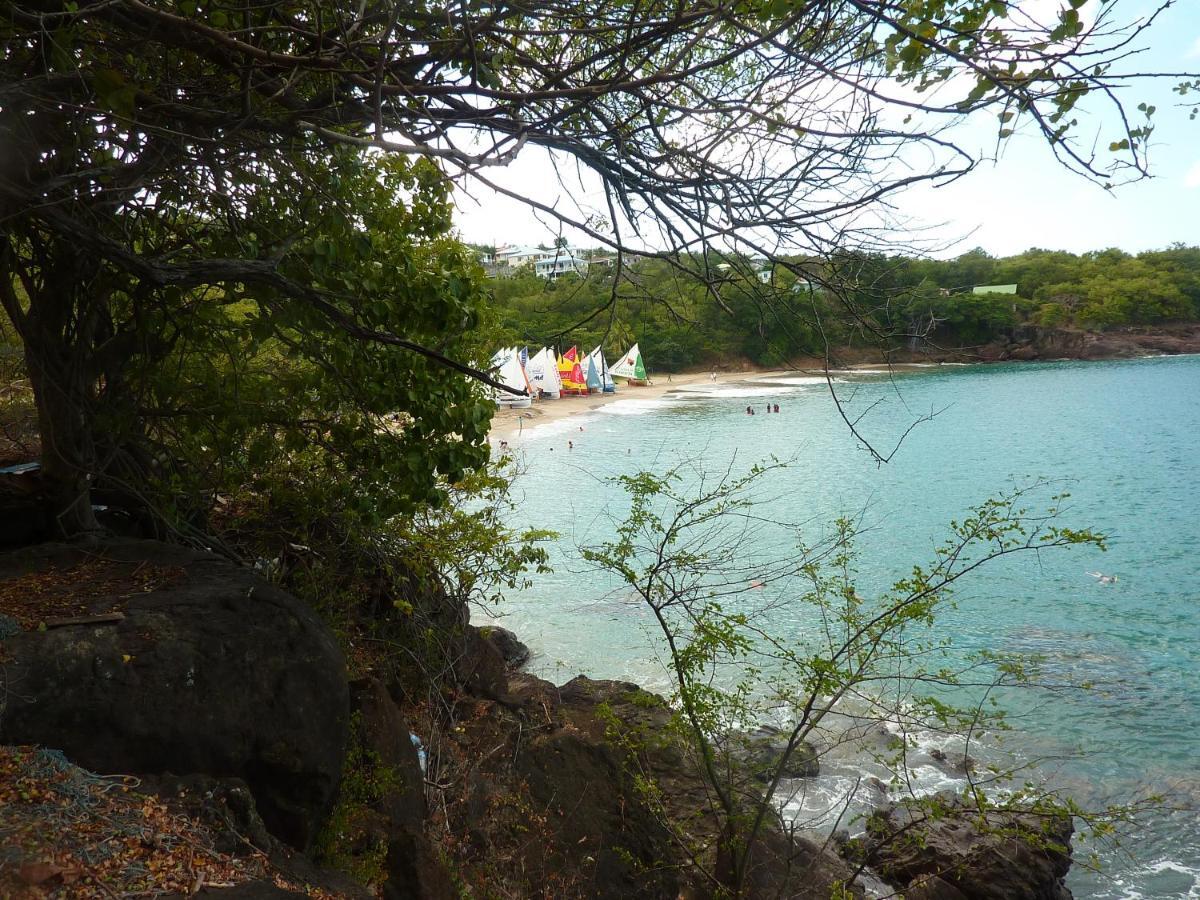 Cottage La Pointe Marine Deshaies Luaran gambar